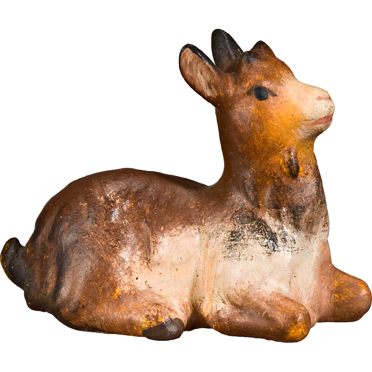 Cabrito agachado