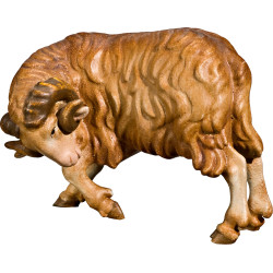 Carnero (sin base)