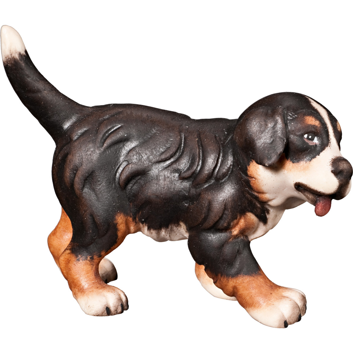 Cucciolo di cane bernese