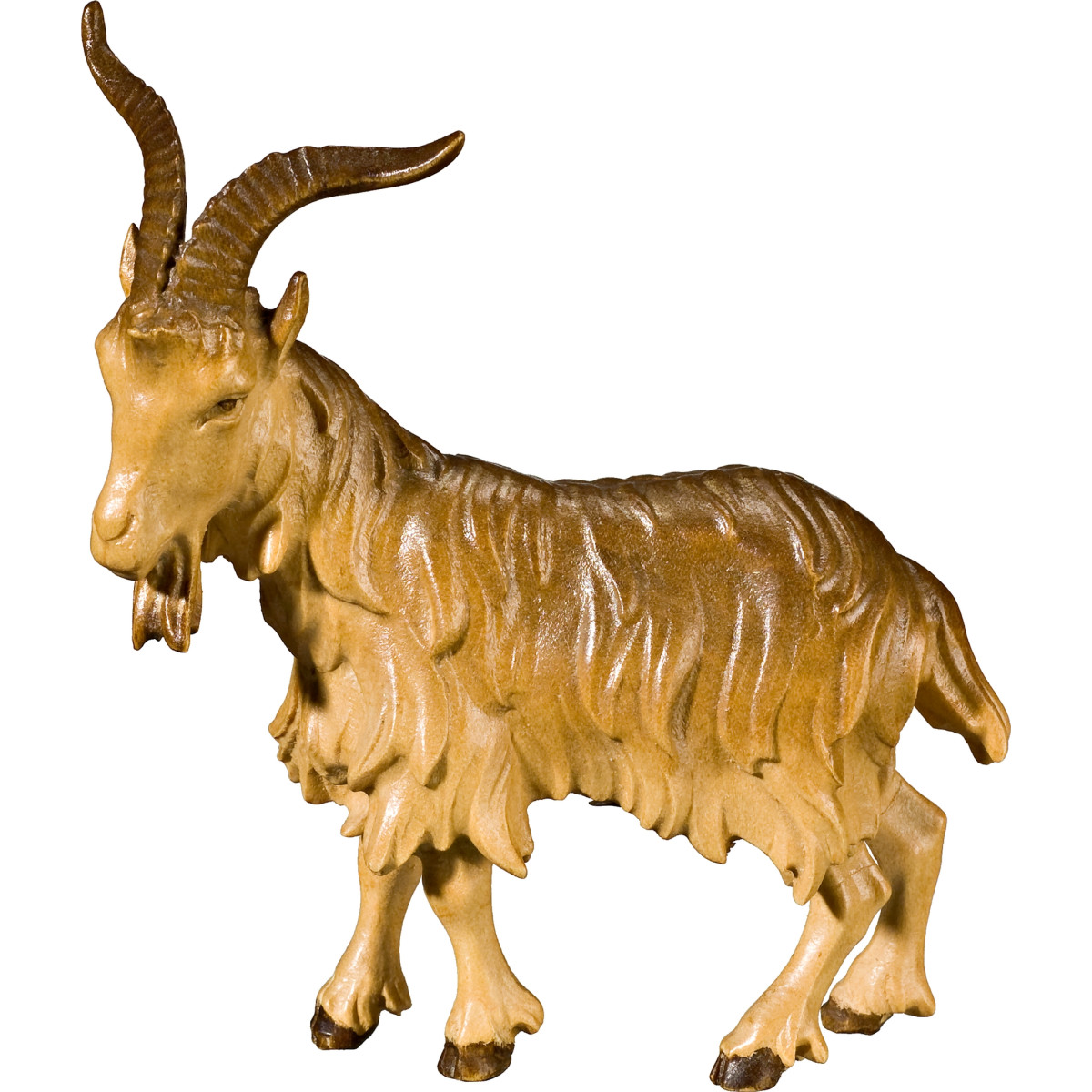 He-goat