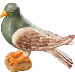 Pomba em pé