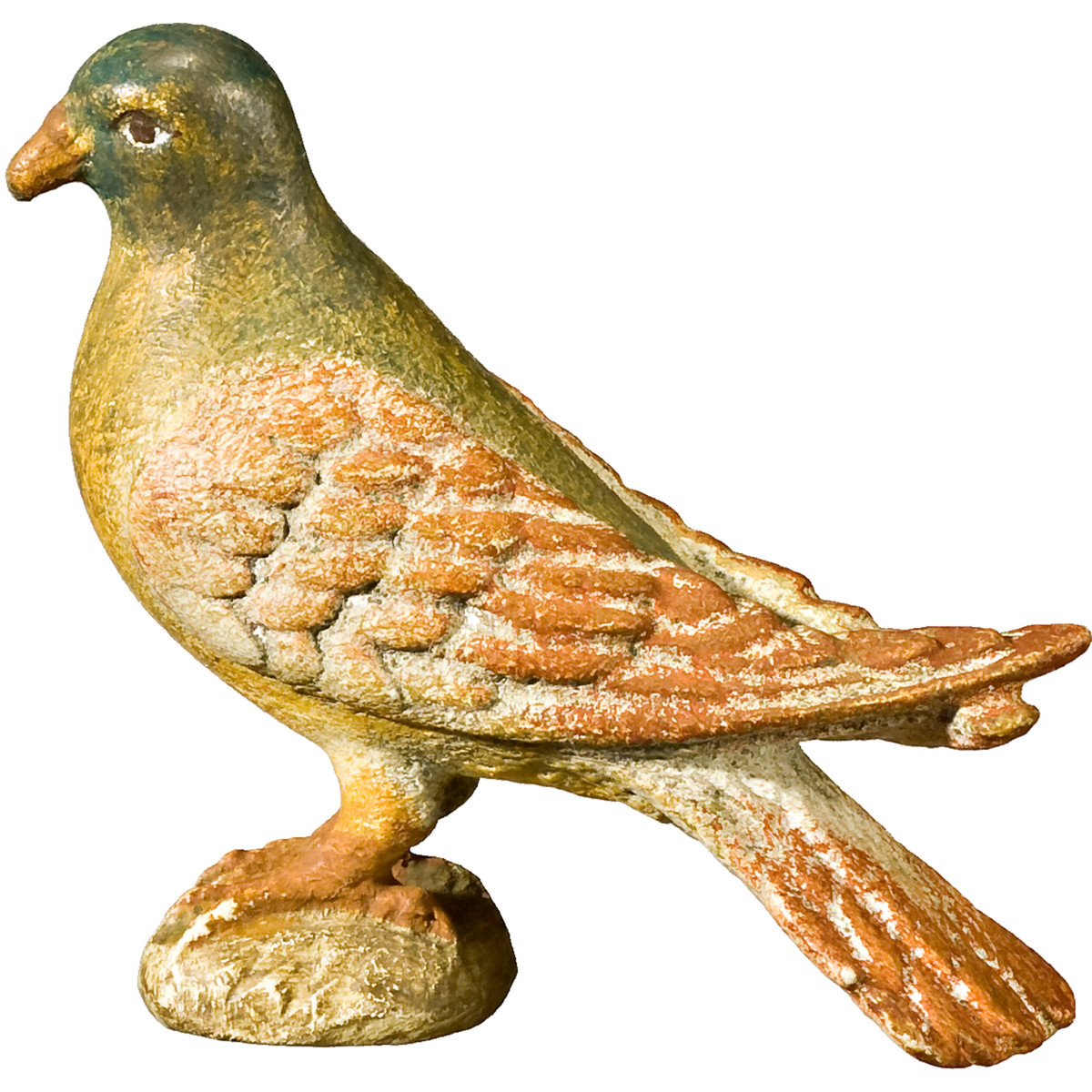 Pigeon standing