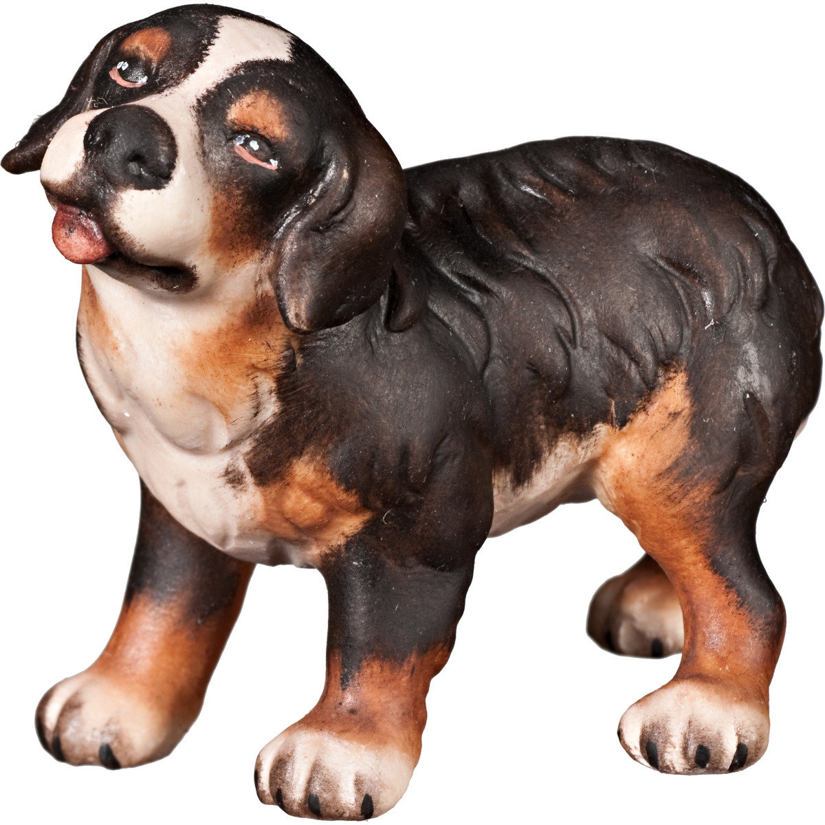 Cucciolo di cane bernese