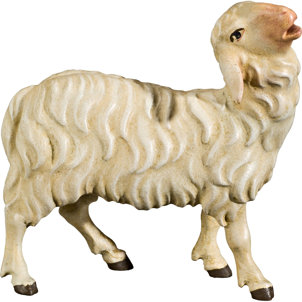 Sheep bleating