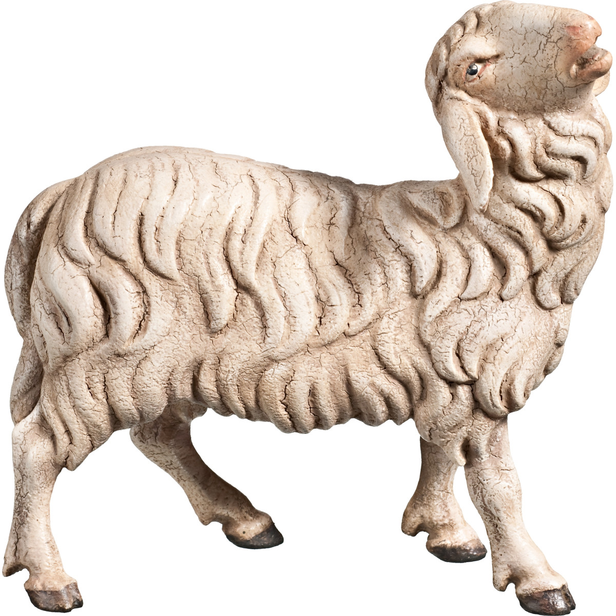 Sheep bleating