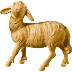 Pecora testa alta (senza base)