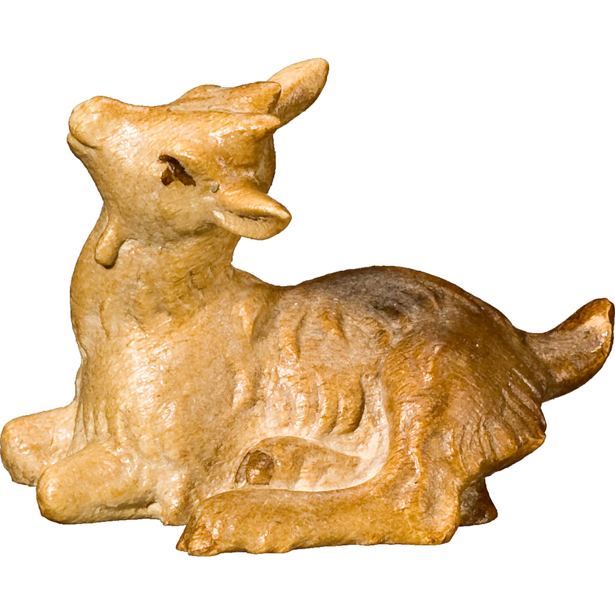 Cabrito acostado