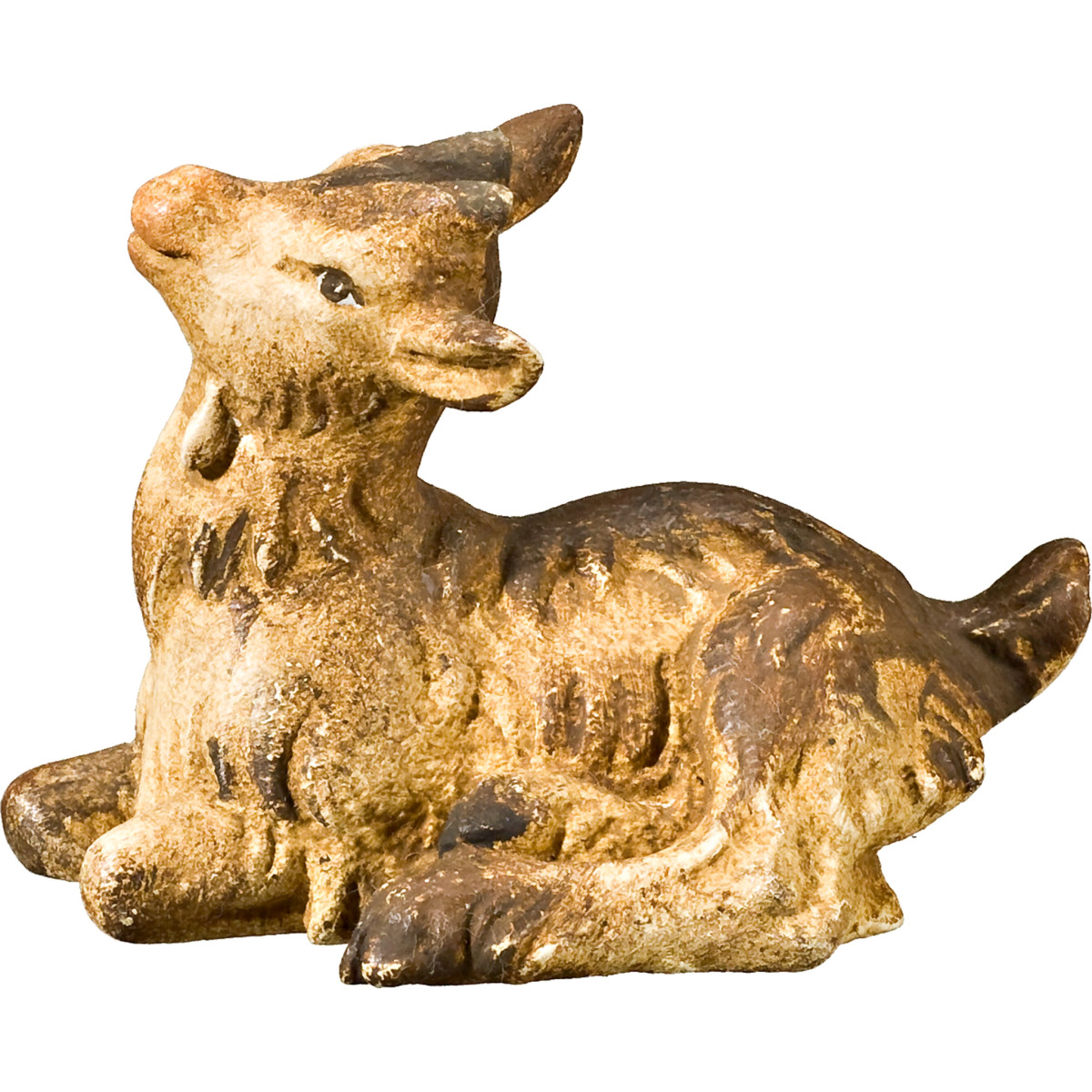 Cabrito acostado