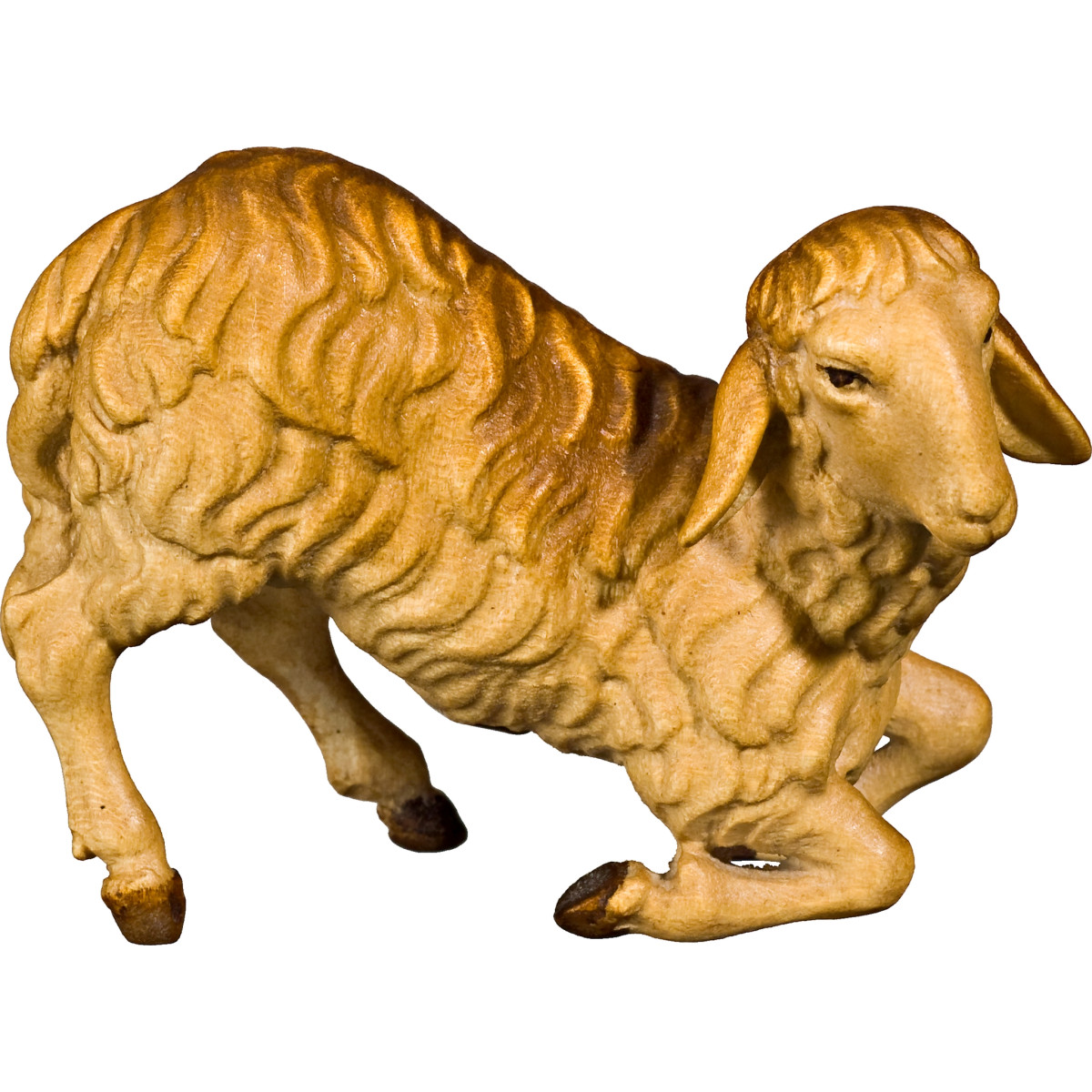 Pecora inginocchiata