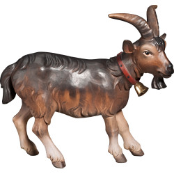 Capra con campanellino
