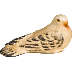 Pigeon perching