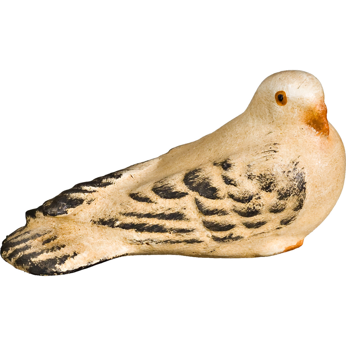 Pigeon perching