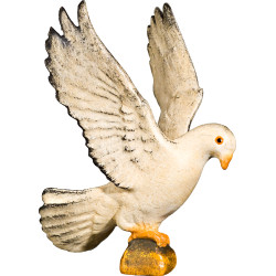 Pigeon flying