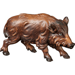 Scrofa di cinghiale