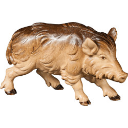 Wild boar sow