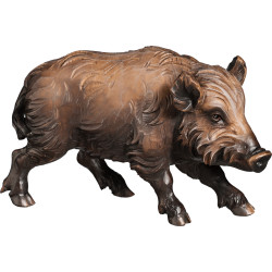 Scrofa di cinghiale