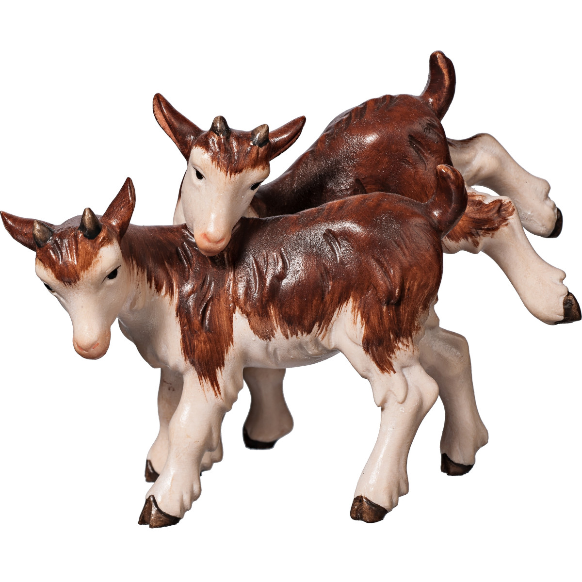 Goat kid group