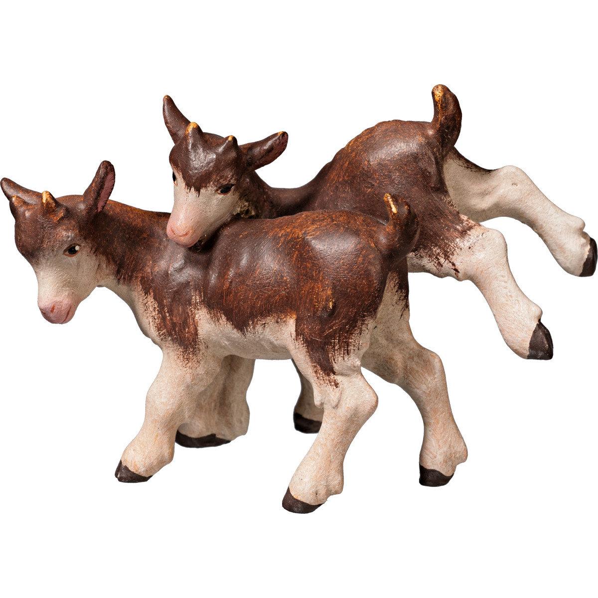 Goat kid group