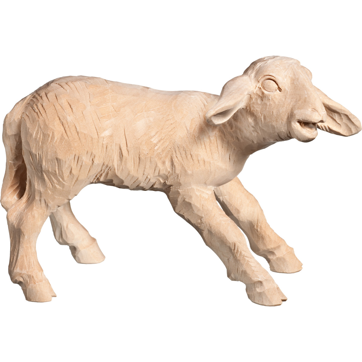 Lamb