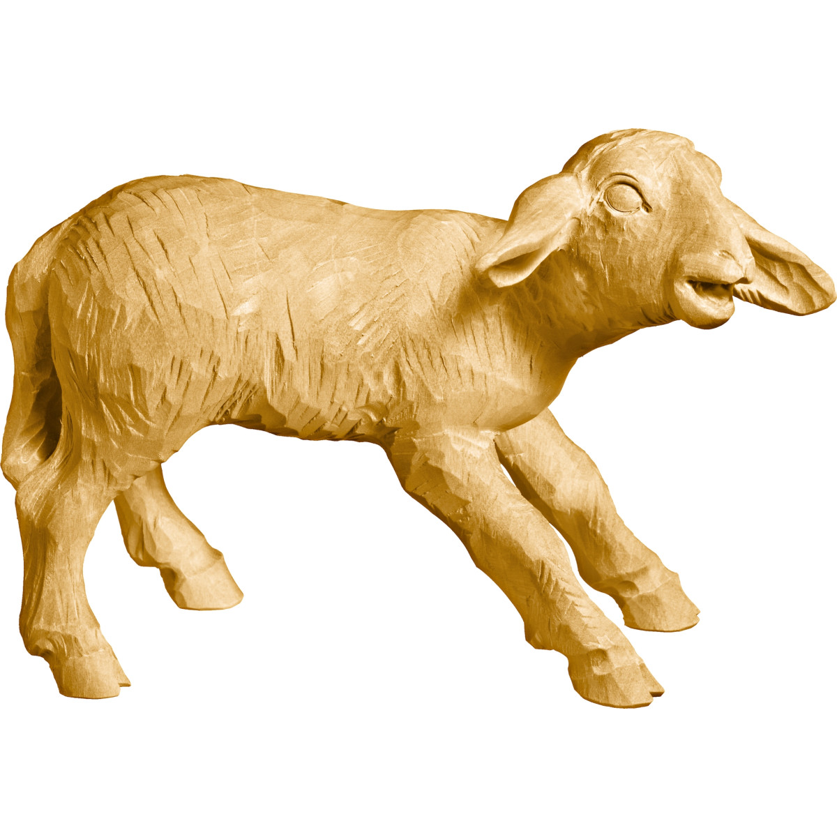 Cordero