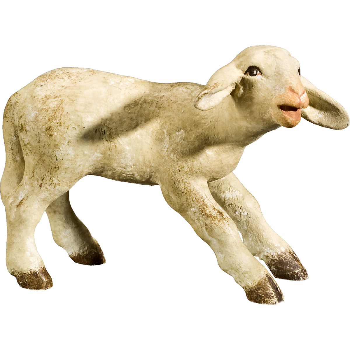 Lamb
