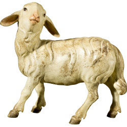 Pecora testa alta (senza base)