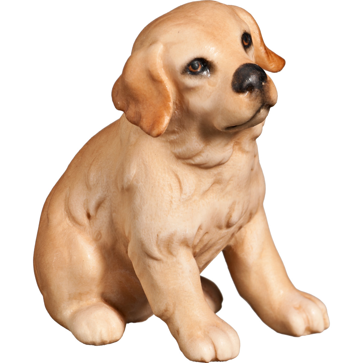 Cucciolo di Golden Retriever