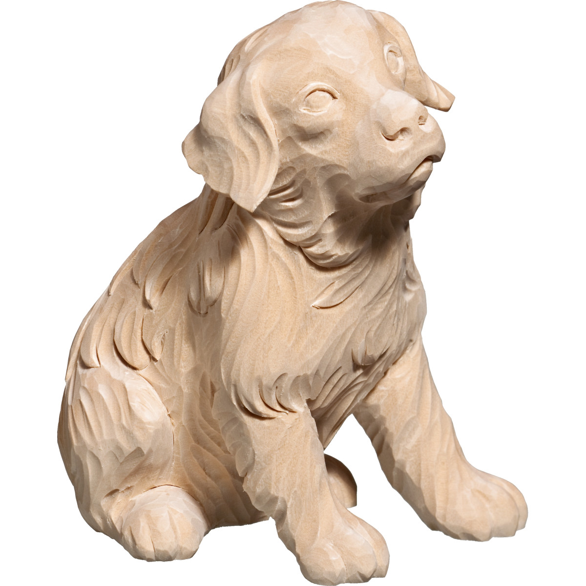 Golden Retriever Welpe