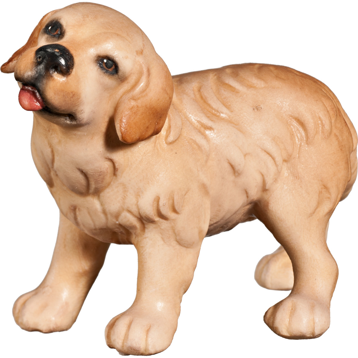 Cucciolo di Golden Retriever