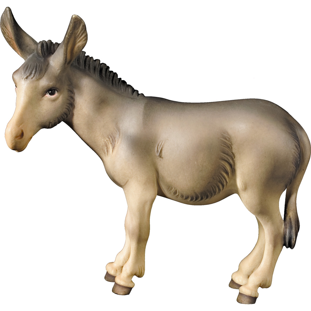 Burro