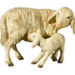 Gruppo pecore in piedi (senza base)