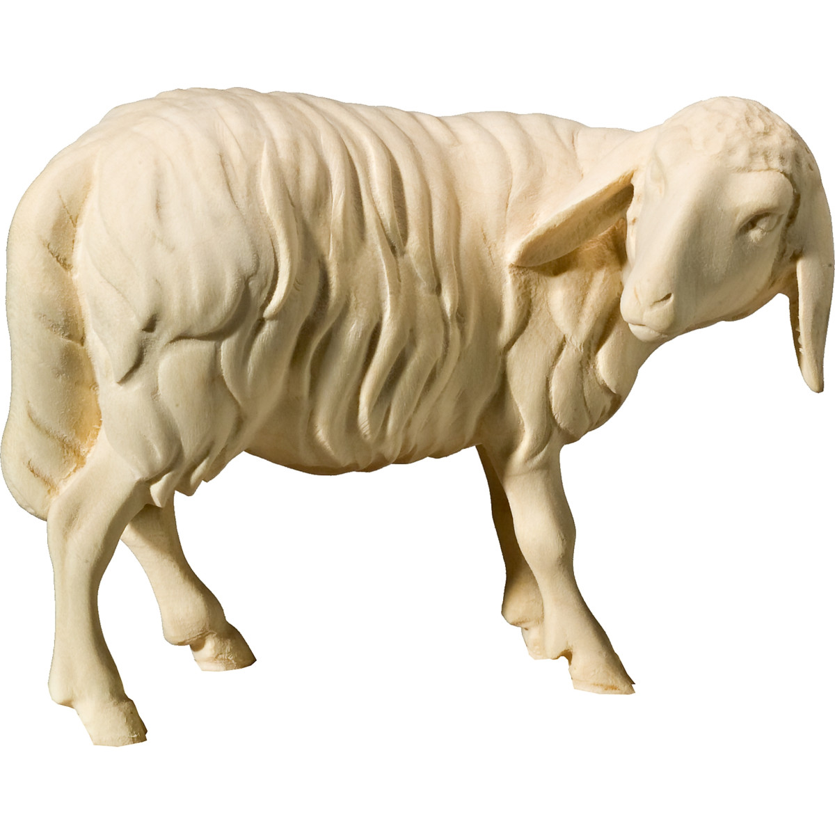 Sheep looking back (without base)