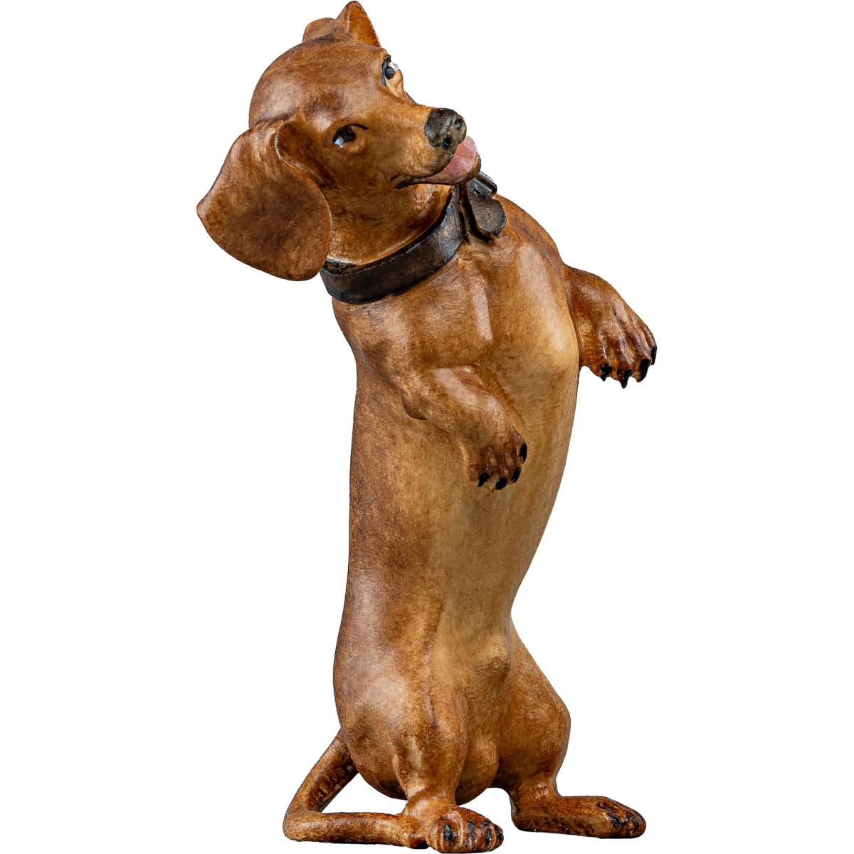 Teckel sobre duas patas | Bergland