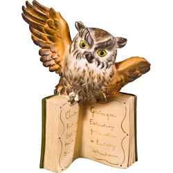 Fliegende Eule auf Buch | Bergland