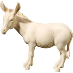 Burro