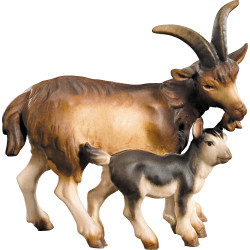 Grupo cabras