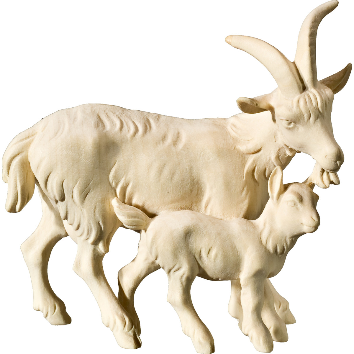 Grupo cabras