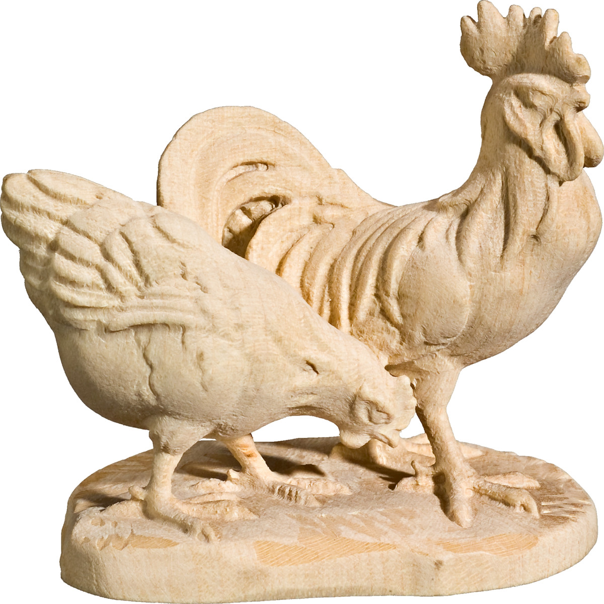 Chicken group