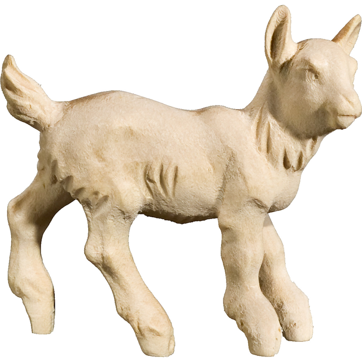 Cabrito
