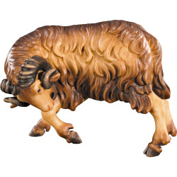 Ram (without base)