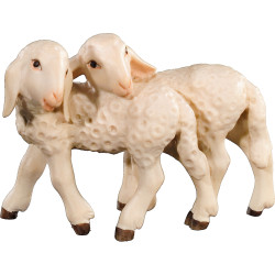 Lamb group