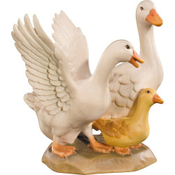 Gänsegruppe