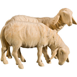Pecore doppie