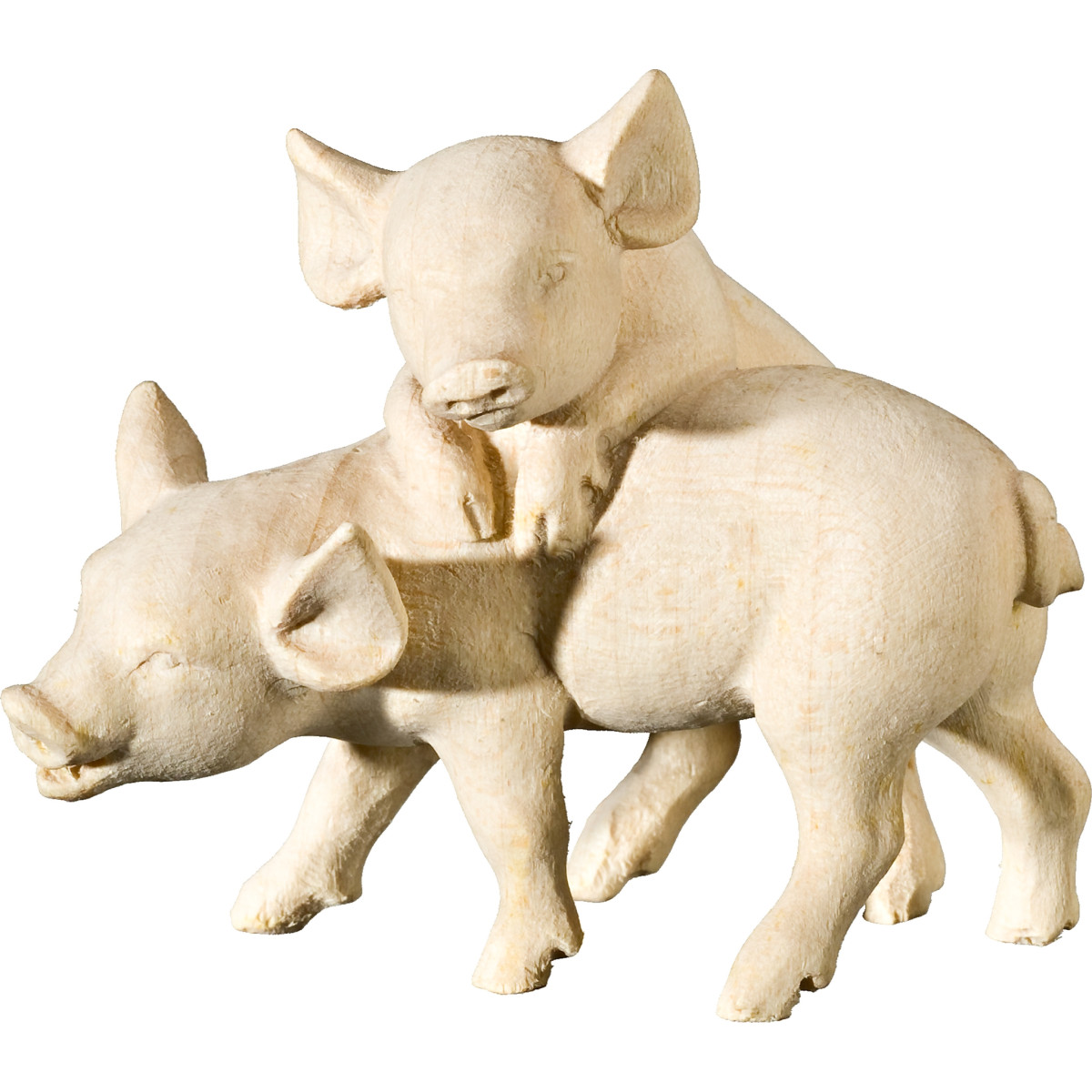 Grupo cochinillos
