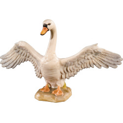Cisne asas abertas