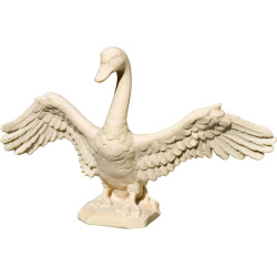 Cisne asas abertas