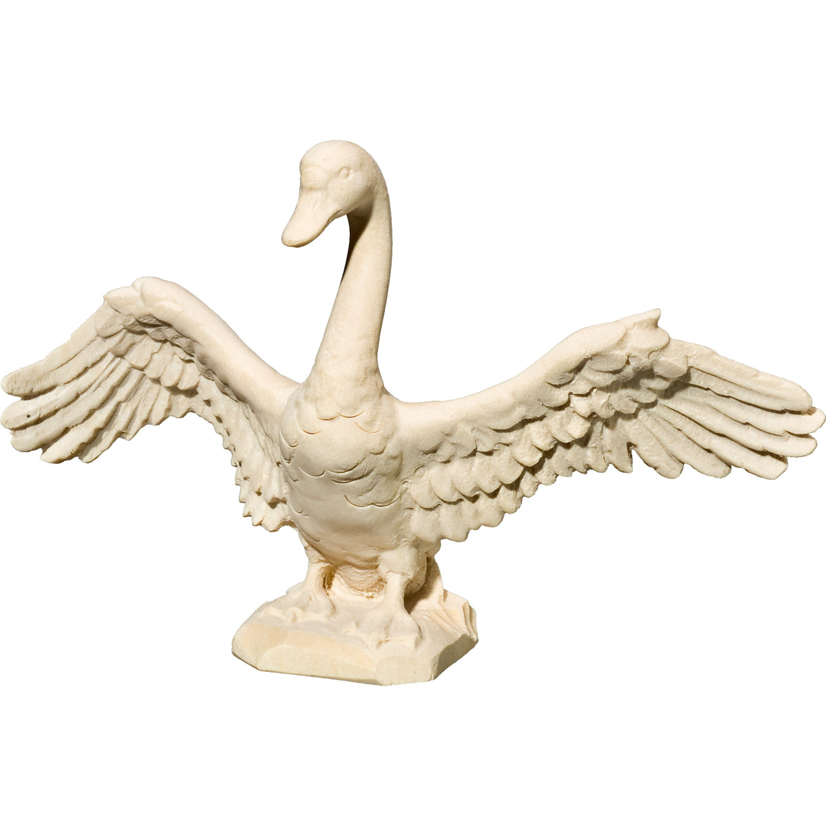 Cigno ali aperte
