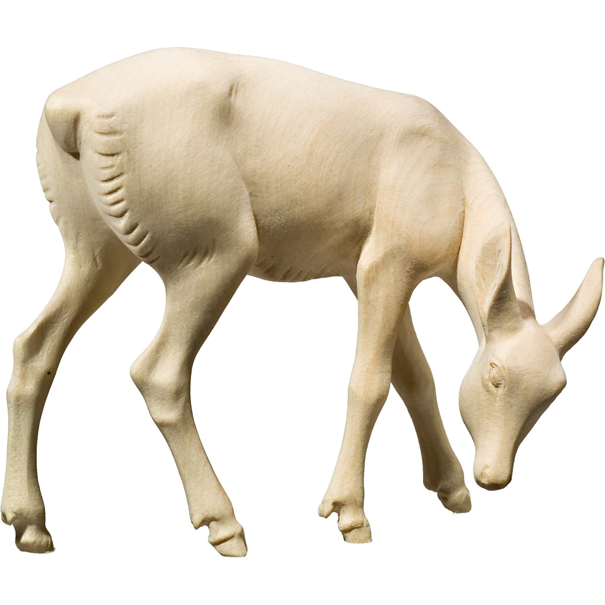 Deer-female