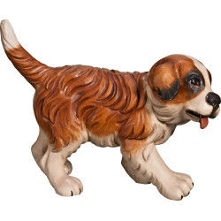 Cucciolo di San Bernardo