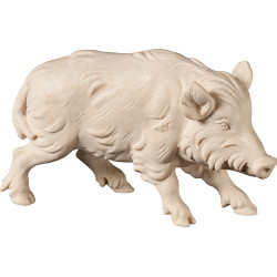 Scrofa di cinghiale